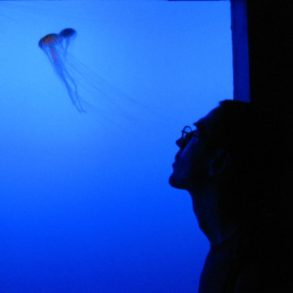 Profile picture of VermiisMortuor