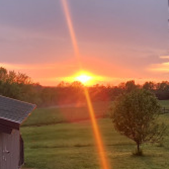 Profile picture of Philip