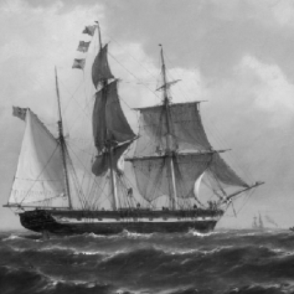 Profile picture of MacDuff