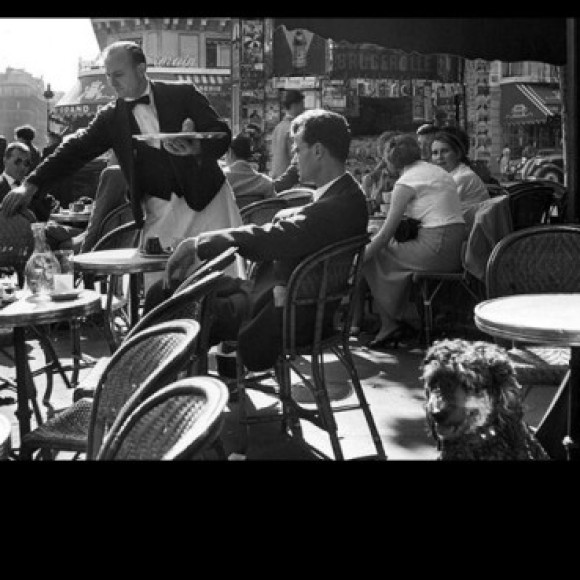 Profile picture of Don