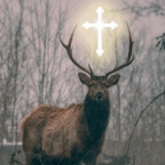 Profile picture of Deer_Cross
