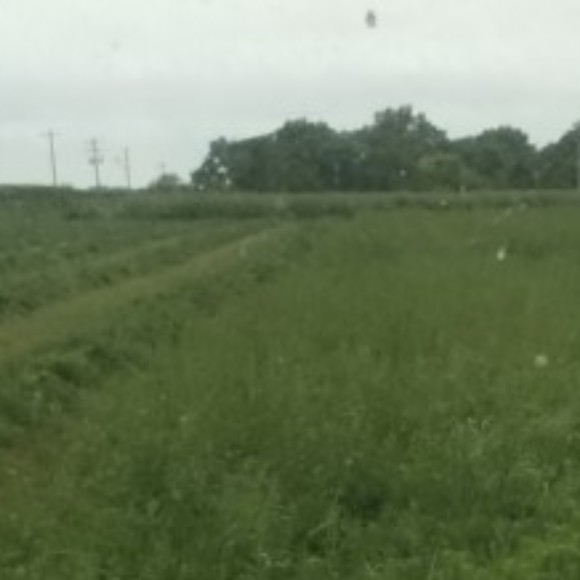 Profile picture of Nefarmer84