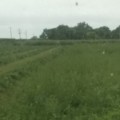 Profile picture of Nefarmer84