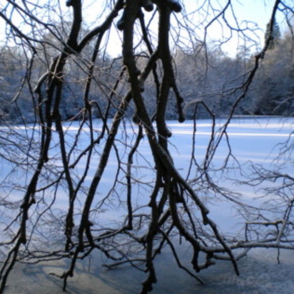 Profile picture of runningwriter