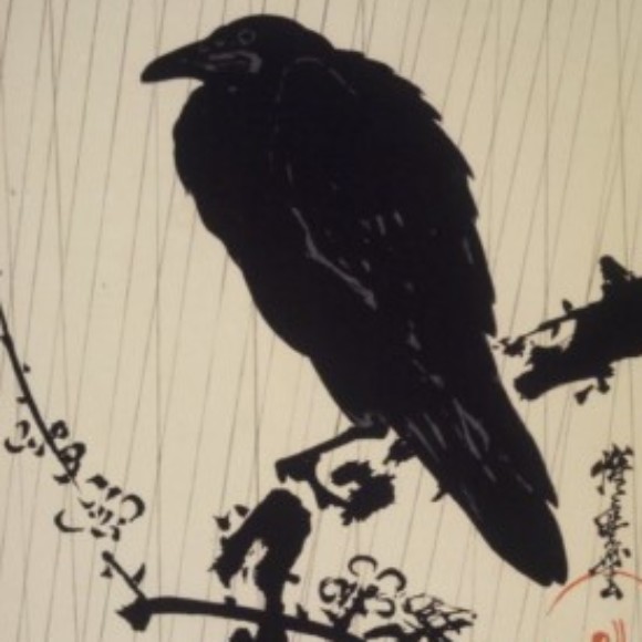 Profile picture of Corvus Nova