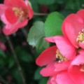 Profile picture of Ann