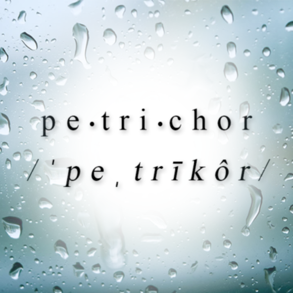 Profile picture of After the Rain