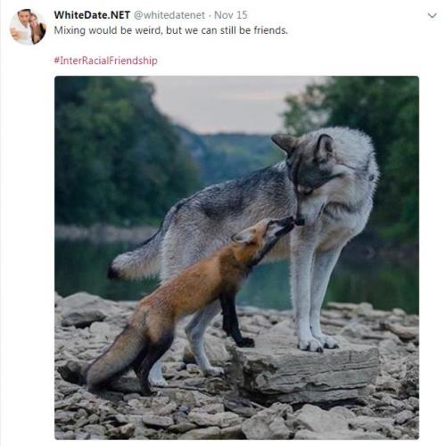Whites Dating Whites