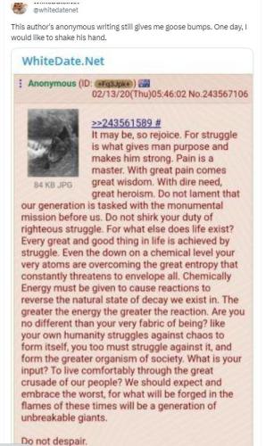 White Wellness