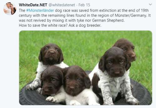 White People Meet Dating Site