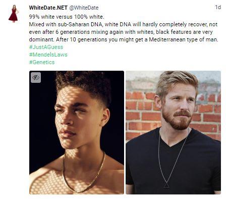 White People Meet Dating Site