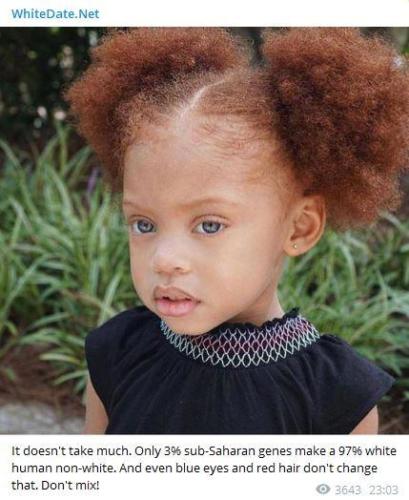 Dear White People