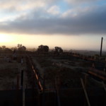 20181022_072706