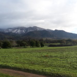 20190205_075331