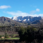 20190205_085154
