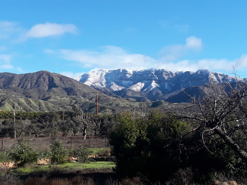 20190205_085154