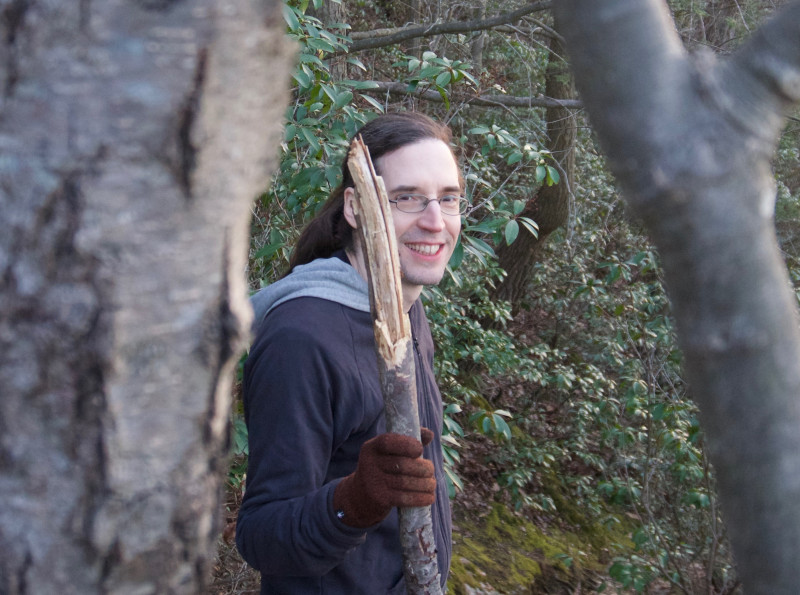 walking-stick