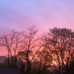 pink-sky