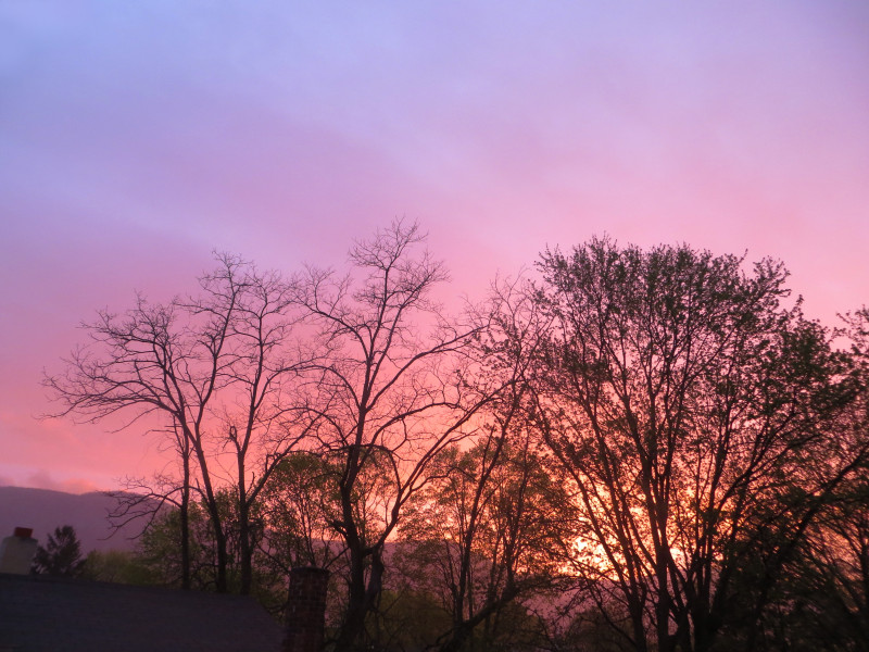 pink-sky