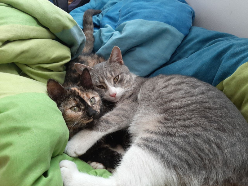 photo_2021-12-06_14-20-40