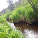 20190618_181053_optimized